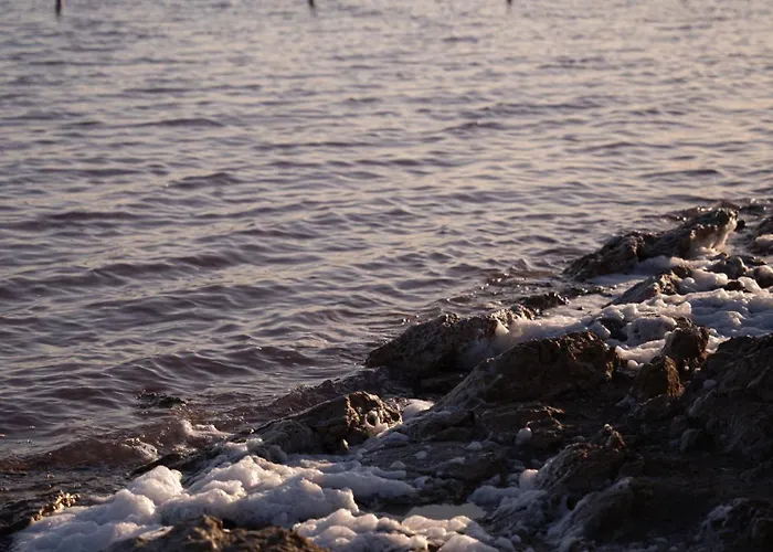 Vista Mar Apartment Torrevieja